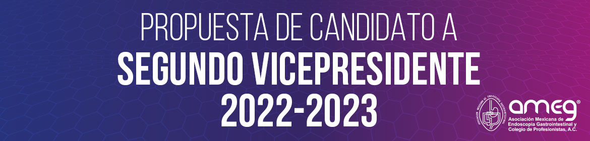 candidatos segundo vp 2022