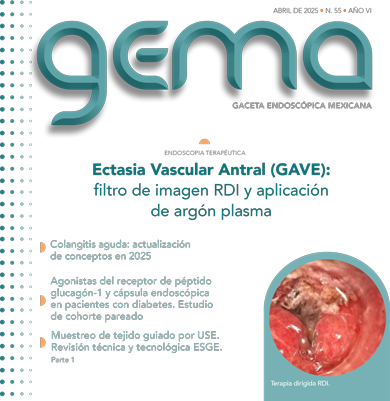GEMA 43 abr 2024