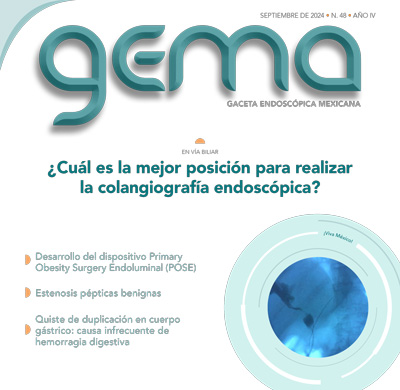 GEMA 48 sep 2024